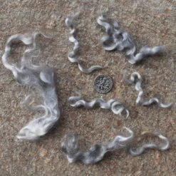 SILVER MOHAIR LOCKS. Organic Hand-Dyed Curly Wool For Rooting Doll Hair, Felting, Blending, Spinning. 1oz 28 SILVER MOHAIR LOCKS. Organic Hand-Dyed Curly Wool For Rooting Doll Hair, Felting, Blending, Spinning. 1oz -Michaels Stores 1153049078072161952 1