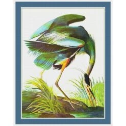 A Great White Heron Bird By John James Audubon Counted Cross Stitch Pattern -Michaels Stores 12151021514033 2