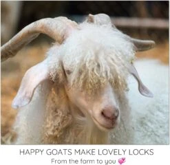 HENNA MOHAIR LOCKS. Organic Hand-Dyed Curly Wool For Rooting Doll Hair, Felting, Blending, Spinning. 1oz 25 HENNA MOHAIR LOCKS. Organic Hand-Dyed Curly Wool For Rooting Doll Hair, Felting, Blending, Spinning. 1oz -Michaels Stores 123429905021232