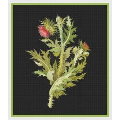 Nodding Thistle Plant By Mary Delany Counted Cross Stitch Pattern 23 Nodding Thistle Plant By Mary Delany Counted Cross Stitch Pattern -Michaels Stores 1507824906203 1