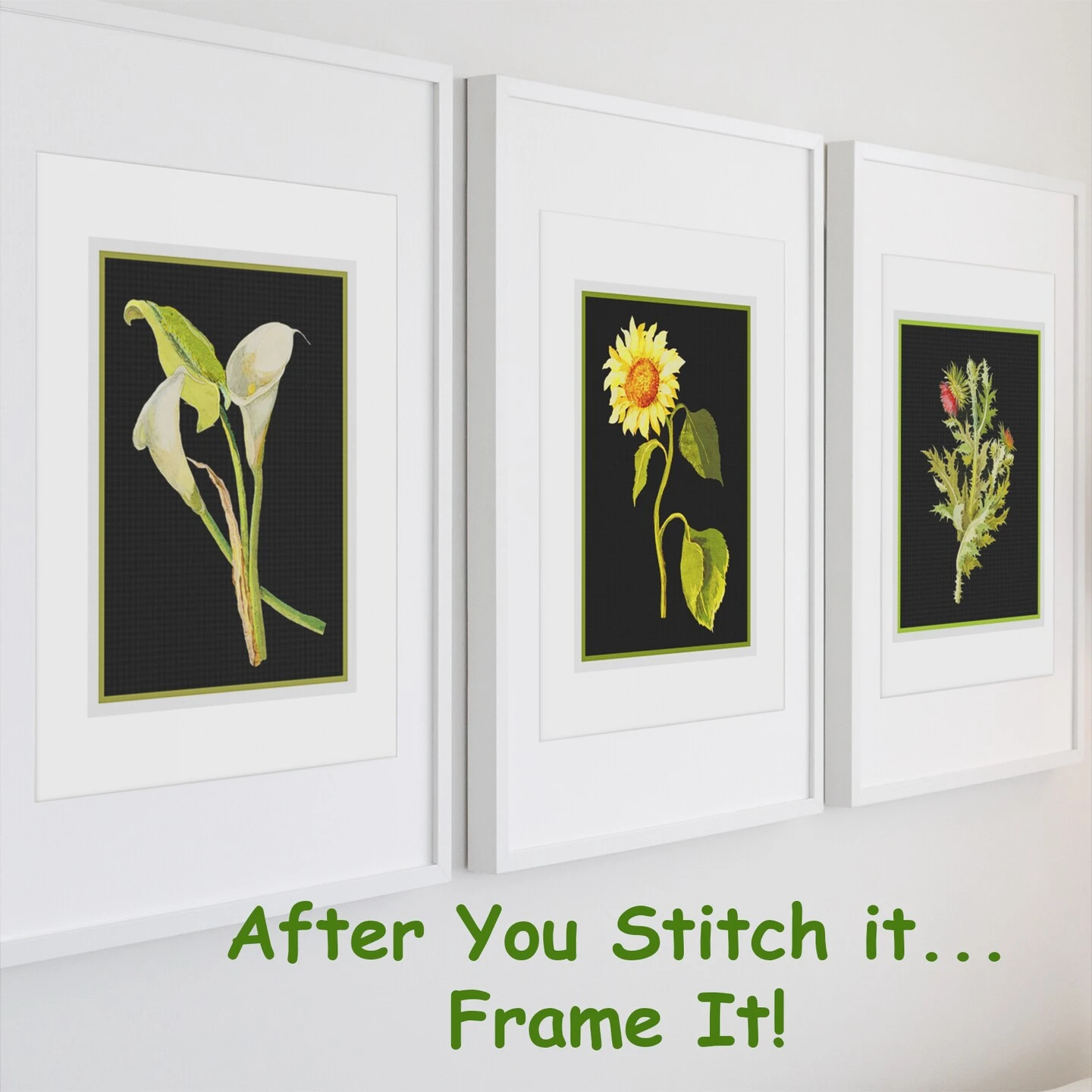 Nodding Thistle Plant By Mary Delany Counted Cross Stitch Pattern 5 Nodding Thistle Plant By Mary Delany Counted Cross Stitch Pattern - Image 3