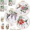 3 Sets Hummingbird Embroidery Kit For Beginners Needlepoint Kits For Adults Cross Stitch Kits With Clear Instructions,Easy Funny Stamped Bird Patterns Fabric Hand Crafts
