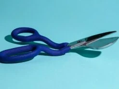 Duckbill Scissors