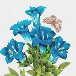 Orenco Originals Redoute Blue Gentian Flower Counted Cross Stitch Pattern -Michaels Stores 1855715756779 1