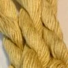 Planet Earth Fiber Ply Silk Embroidery Floss - #1163 Honey Multicolor -Michaels Stores 2306148969425146976
