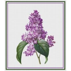 Lilac Flower Inspired By Pierre-Joseph Redoute Counted Cross Stitch Pattern 28 Lilac Flower Inspired By Pierre-Joseph Redoute Counted Cross Stitch Pattern -Michaels Stores 2444119152603 2