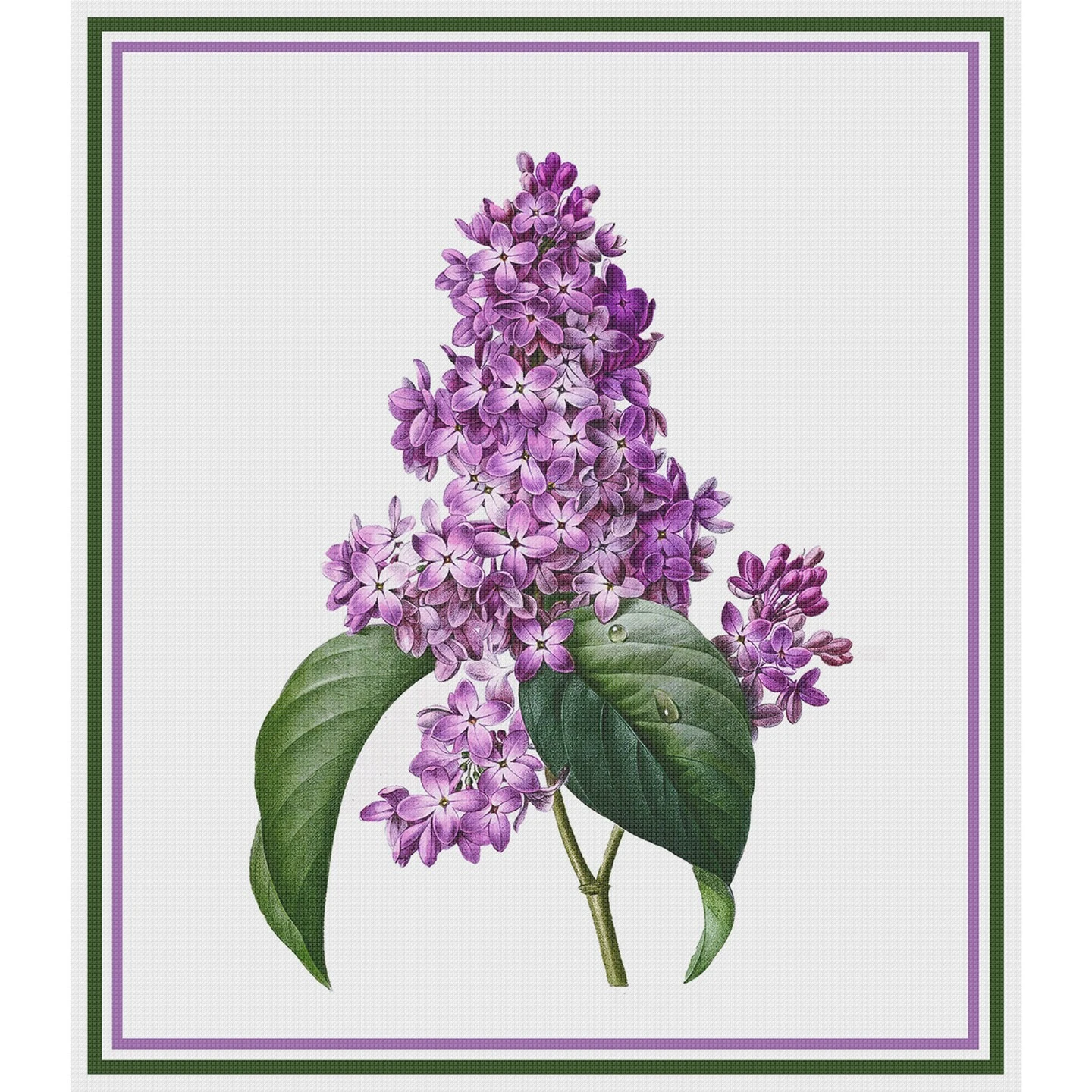 Lilac Flower Inspired By Pierre-Joseph Redoute Counted Cross Stitch Pattern 14 Lilac Flower Inspired By Pierre-Joseph Redoute Counted Cross Stitch Pattern - Image 12