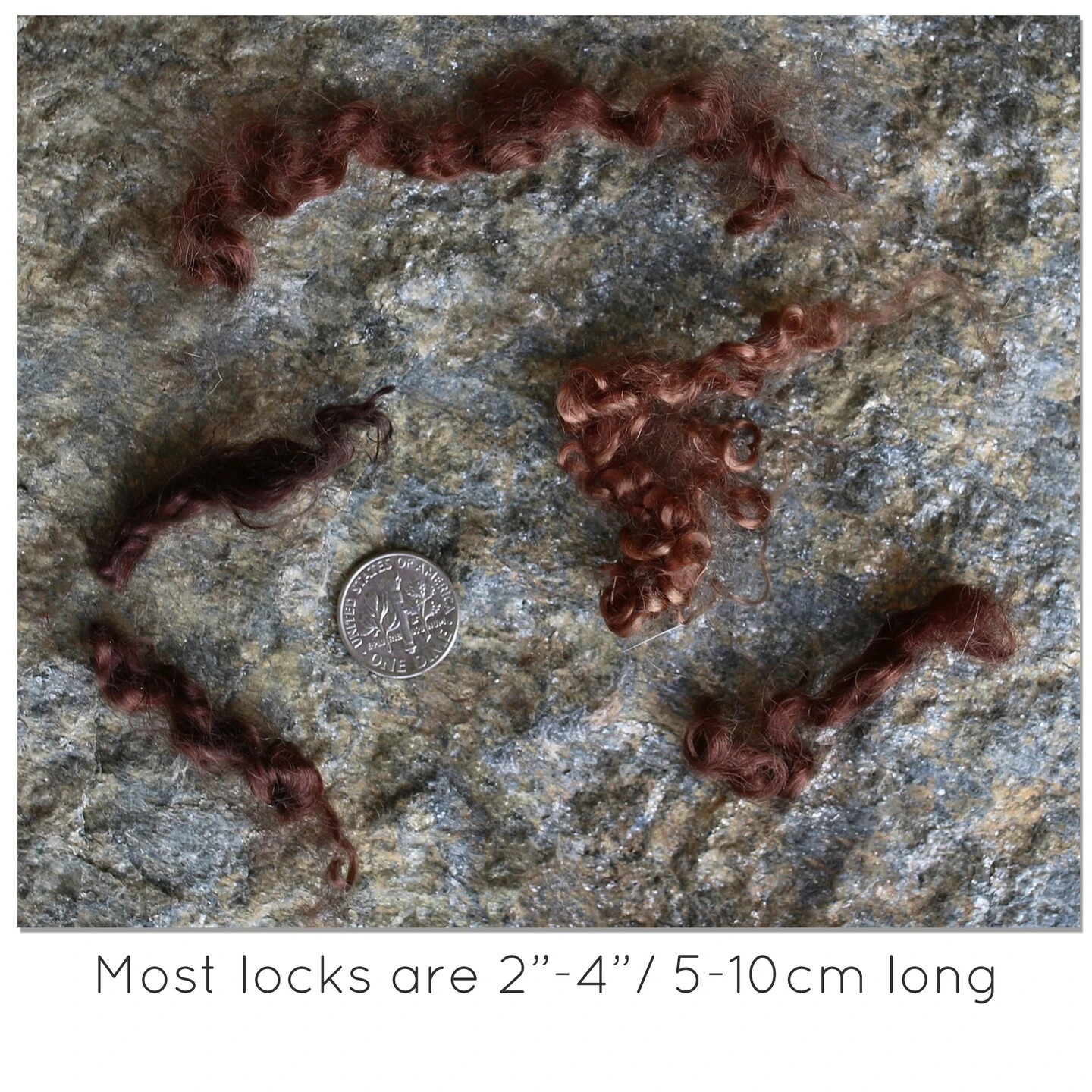 BROWN MOHAIR LOCKS. Organic Hand-Dyed Curly Wool For Rooting Doll Hair, Felting, Blending, Spinning. 1oz 5 BROWN MOHAIR LOCKS. Organic Hand-Dyed Curly Wool For Rooting Doll Hair, Felting, Blending, Spinning. 1oz - Image 3