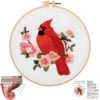 Louise Maelys Cardinal Embroidery Kits For Beginners With Bird Flower Pattern,Adults Starter Cross Stitch Kit DIY Needlepoint 1 Louise Maelys Cardinal Embroidery Kits For Beginners With Bird Flower Pattern,Adults Starter Cross Stitch Kit DIY Needlepoint -Michaels Stores 288016801625776