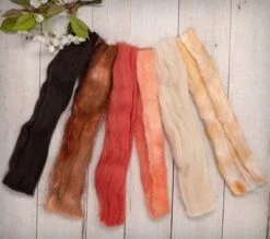 Multi Fiber Sampler - Super Soft Merino Roving, Hand Dyed BFL Wool & Sparkling Firestar For Felting, Spinning, Doll Making Orange