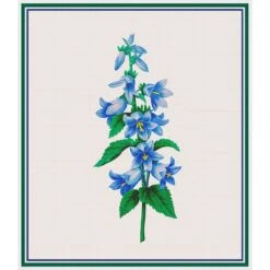 Blue Bell Flowers Inspired By Pierre-Joseph Redoute Counted Cross Stitch Pattern -Michaels Stores 4123450993115 2