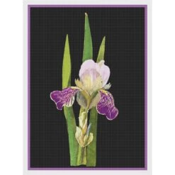 Purple Iris Flowers By Mary Delany Counted Cross Stitch Pattern -Michaels Stores 4123458908123 2