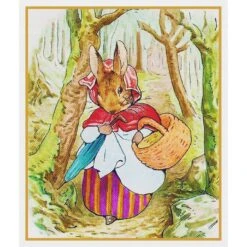 Beatrix Potter Mrs Rabbit Goes Market Counted Cross Stitch Chart Pattern -Michaels Stores 558884900145 2