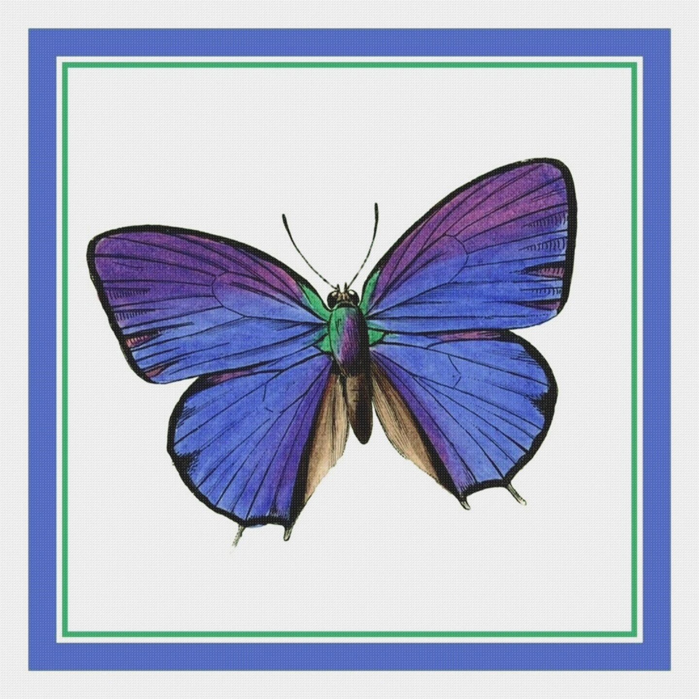 Colorful Lavender Butterfly Counted Cross Stitch Chart Pattern 4 Colorful Lavender Butterfly Counted Cross Stitch Chart Pattern - Image 2