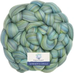 100% Superfine Merino Fiber: Winner's Circle. Soft Combed Top Roving Color Blend For Spinning, Felting, Weaving Tidepool