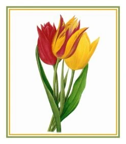 Bouquet Of Tulip Flowers Inspired By Pierre-Joseph Redoute Counted Cross Stitch Pattern 28 Bouquet Of Tulip Flowers Inspired By Pierre-Joseph Redoute Counted Cross Stitch Pattern -Michaels Stores 5860754672363 2
