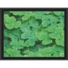 Sunrays Creations Needlearts Dew Covered Clover Counted Cross-Stitch Chart Multicolor -Michaels Stores 61757164234208