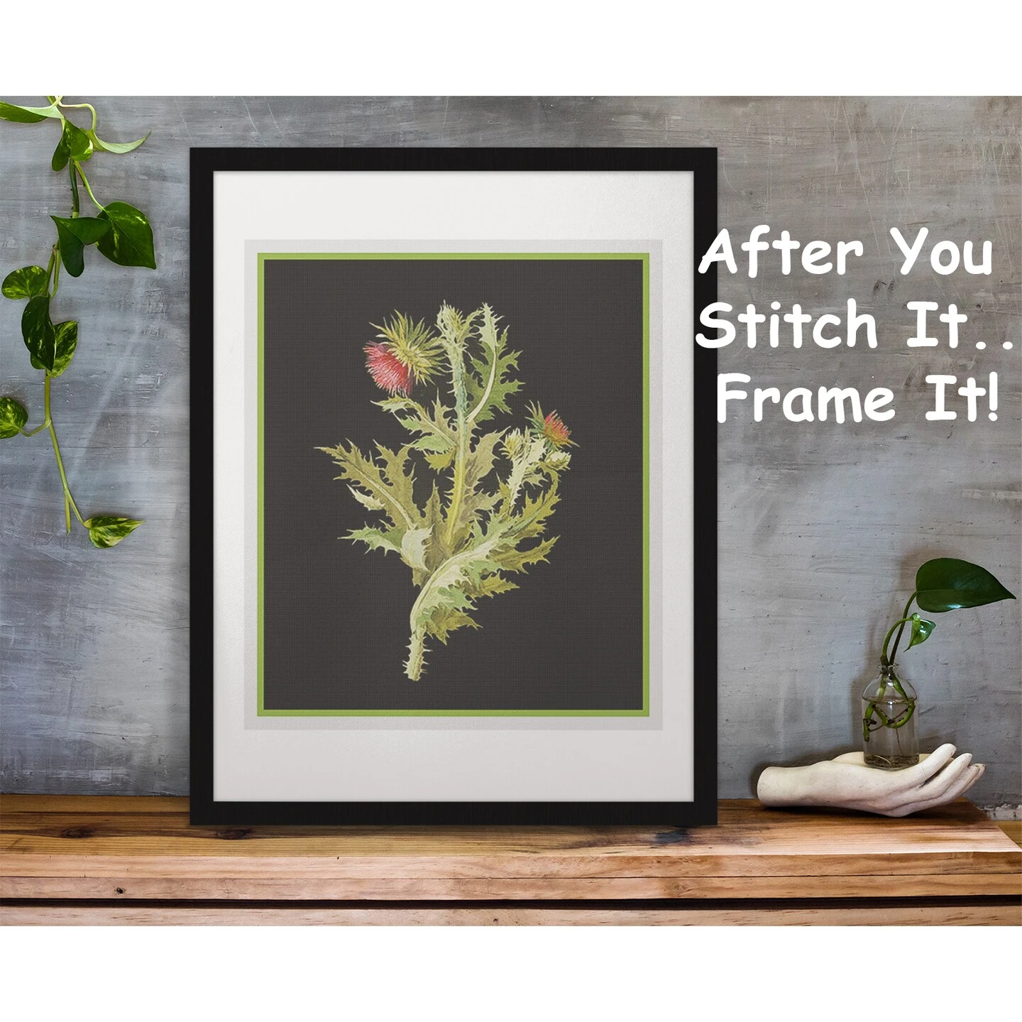 Nodding Thistle Plant By Mary Delany Counted Cross Stitch Pattern 6 Nodding Thistle Plant By Mary Delany Counted Cross Stitch Pattern - Image 4