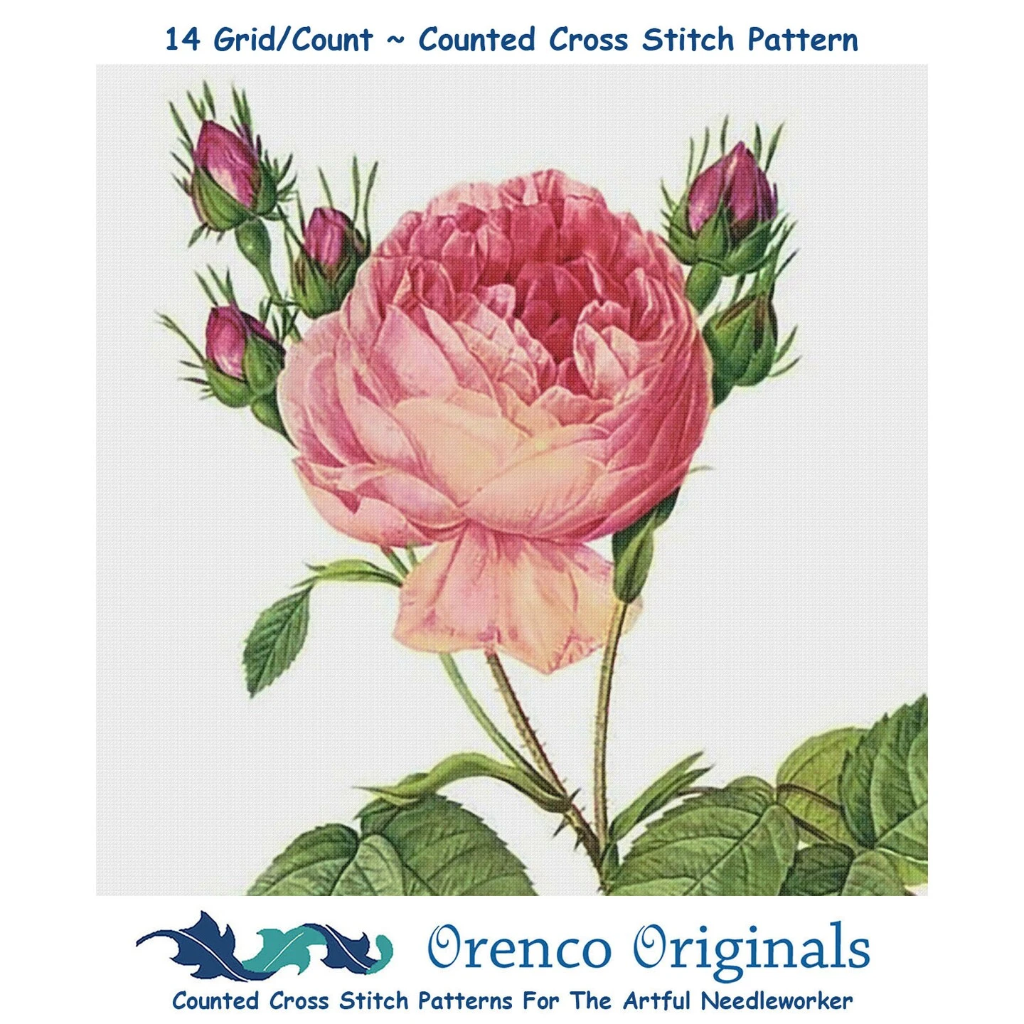 Orenco Originals Redoute Cabbage Rose Flower Counted Cross Stitch Pattern 8 Orenco Originals Redoute Cabbage Rose Flower Counted Cross Stitch Pattern - Image 6
