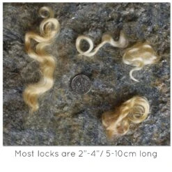 BLONDE MOHAIR LOCKS. Organic Hand-Dyed Curly Wool For Rooting Doll Hair, Felting, Blending, Spinning. 1oz -Michaels Stores 8124147295248 1