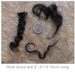 BLACK MOHAIR LOCKS. Organic Hand-Dyed Curly Wool For Rooting Doll Hair, Felting, Blending, Spinning. 1oz -Michaels Stores 85838124147728